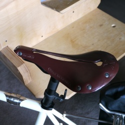 selle_saddle